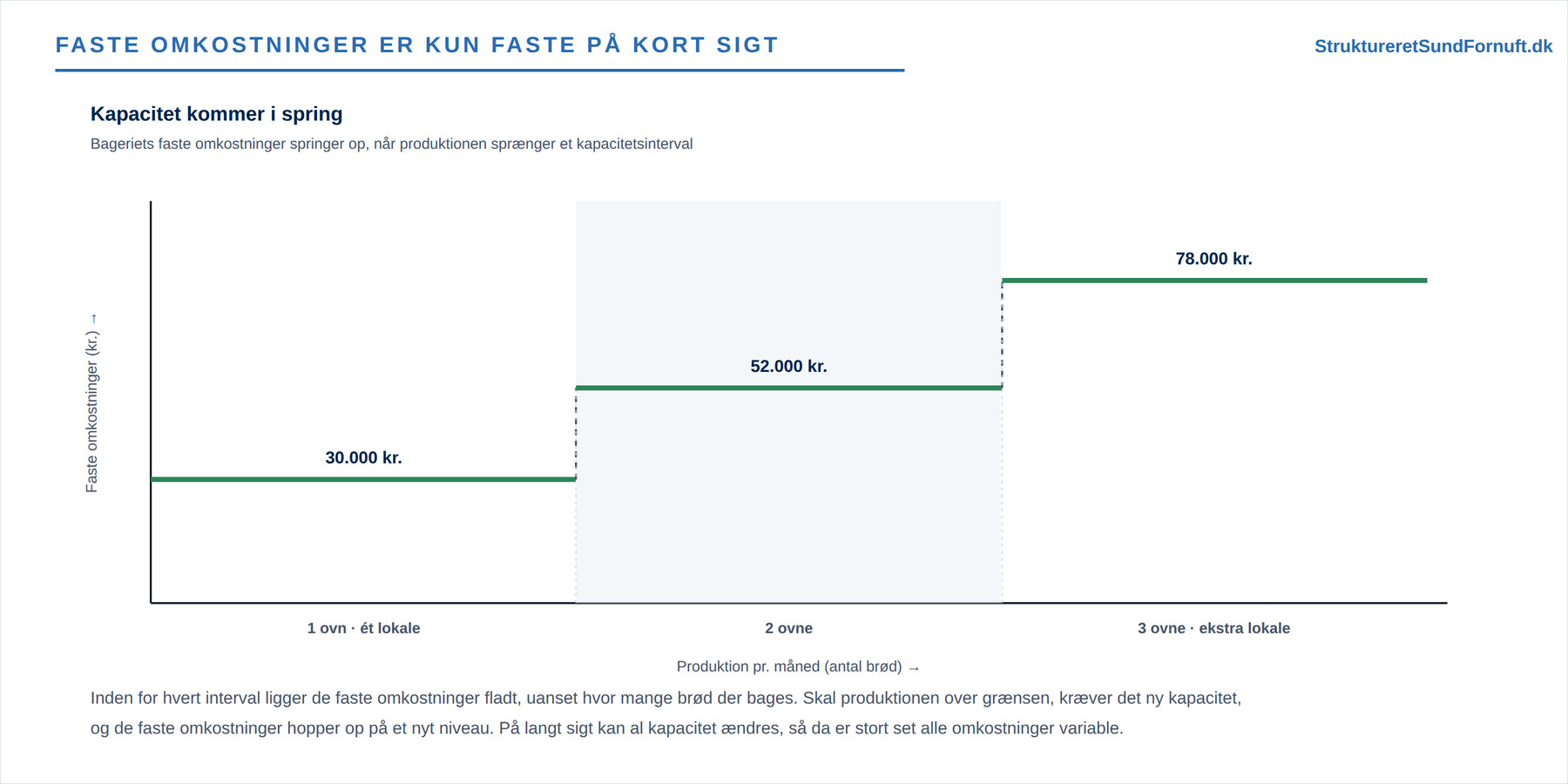 Faste og variable omkostninger (figur 3)